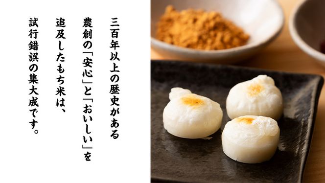 【お餅：三百年続く農家のMochi！】お手軽一口サイズ！レンチン・フライパンで簡単調理！  お餅 もち 年末 餅つき 一口サイズ 焼き餅 きな粉餅 磯辺焼き お雑煮 ぜんざい おやつ [AC34-NT]