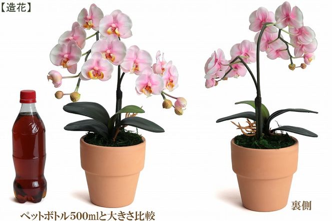 綺麗で丈夫な三河陶器で贈る光触媒胡蝶蘭小輪１本立（ピンクの陶器×桃色の花）H100-080