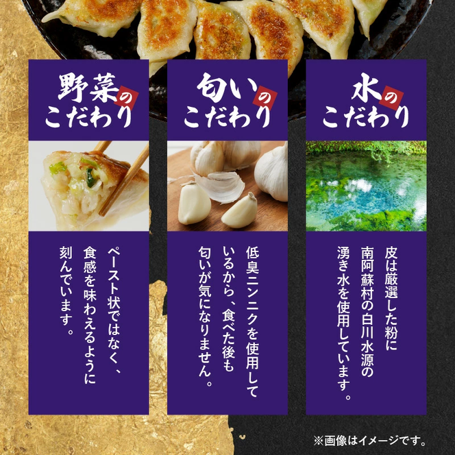 「ぎょうざの店　黄楊」手作り餃子　60個　N0099-ZA358