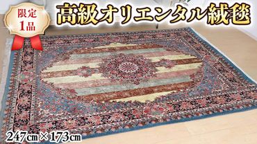  【限定1品】 ペルシャ絨毯 ウール シルク 手織り ラグマット カーペット／ 高級 リビングサイズ 247×173cm 高品質 じゅうたん ラグ （FL-22001) 繊細 メダリオン 花柄 ダイニング 寝室 書斎 和室 床暖房 ホットカーペット対応 じゅうたん ラグ ハンドメイド 伝統工芸 天然素材 高密度 美しい マット カーペット エレガント インテリア モダン クラシック [BP153-NT]