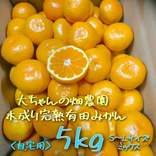 【ご家庭用】有田みかん  5kg （Ｓ～2Ｌサイズミックス）木成り完熟 大ちゃんの畑農園  CA12