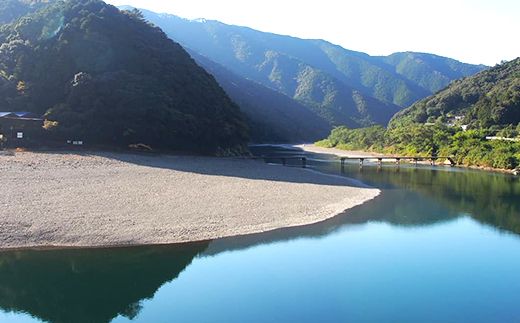 R5-840．四万十川の恵みをご家庭で！四万十川天然鮎セット（塩焼き４～６匹+天然冷凍鮎５～１０匹）