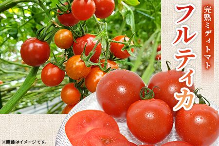 予約受付<国富町産 完熟ミディトマト「フルティカ」1.5kg>2025 予約受付<国富町産 完熟ミディトマト「フルティカ」1.5kg>2025