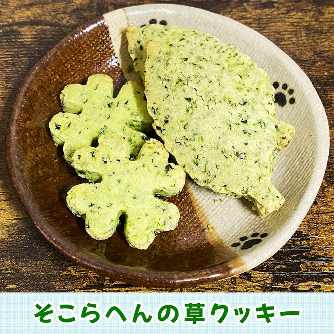そこらへんの草クッキー入り 人気焼き菓子セット [0226]
