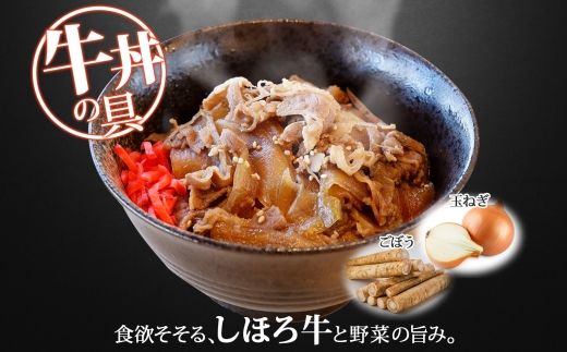 北海道 しほろ牛 牛丼の具 160g×4パック セット 牛丼 牛肉 国産牛 玉ねぎ ゴボウ 丼 冷凍 時短 簡単 便利 おかず 温めるだけ 道の駅 ピア21しほろ 送料無料 十勝 士幌町 【L45】