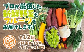 A035 朝採り野菜とフルーツの定期便（12回）