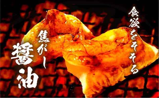 【5営業日以内に発送】＜容量が選べる！＞ヒシク藤安醸造　極あまくち専醤　K026-002