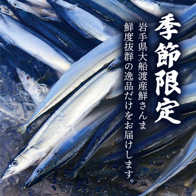 鮮さんま 8本入 (1尾 100g〜120g) 岩手大船渡産 サンマ 秋刀魚 海鮮 魚貝類 魚介類 産地直送 新鮮 期間限定 鮮魚 新鮮さんま 魚 焼き魚 三陸さんま 岩手 大船渡市 [oikawa011_1]