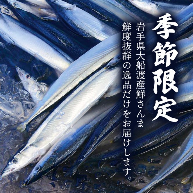 【予約受付中】 鮮さんま 8本入 （1尾 100g~120g） 岩手大船渡産 サンマ 秋刀魚 [oikawa011_1]