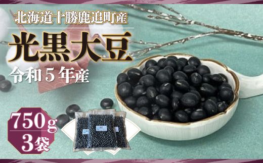 ykCǒz 750×3 SKW001