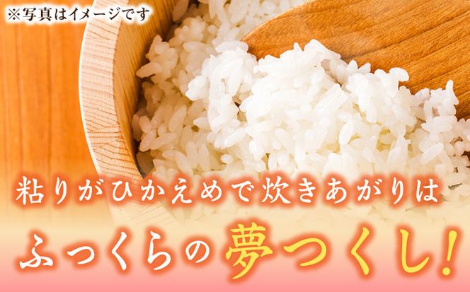 【先行予約】【令和7年産】福岡県産ブランド米「夢つくし」無洗米 10kg (5kg×2袋)【2025年9月以降順次発送】《築上町》【株式会社ゼロプラス】 [ABDD010]  