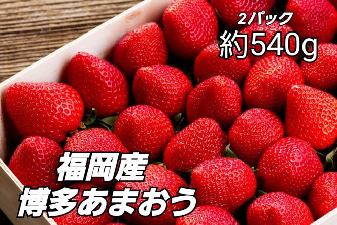 【配送不可地域あり】先行受付 博多あまおう 約270g×2 / エイチアンドフューチャーズ / 福岡県 筑紫野市 [21760413] 果物 フルーツ いちご イチゴ 苺 朝採り 新鮮