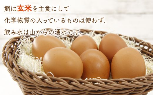 北海道 豊浦 おふけしの平飼い卵 48個 TYUZ003