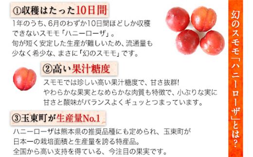 ハニーローザ＆いちごコンフィチュールセット《30日以内に出荷予定(土日祝除く)》熊本県 玉名郡 玉東町 イチゴ 贈答 ギフト ハニーローザ ゆうべに ぷらっとぎょくとう---sg_ichigojam_30d_24_10000_3set---