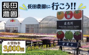 【長田農園に行こう!!】直売所で使えるお買物券　3,000円分　H004-159