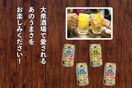 ＜TaKaRa焼酎ハイボール レモン・ドライ・グレープフルーツ・ラムネ割り 350ml×各24本 計96本＞翌月末迄に順次出荷【c534_mm_x4】