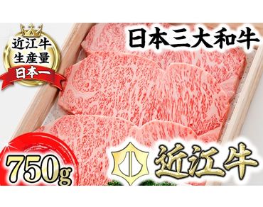 【森村商会】近江牛 特選サーロイン ステーキ【750ｇ（約250ｇ×3枚）】【L004SM】