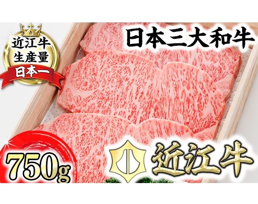 【森村商会】近江牛 特選サーロイン ステーキ【750ｇ（約250ｇ×3枚）】【L004U】