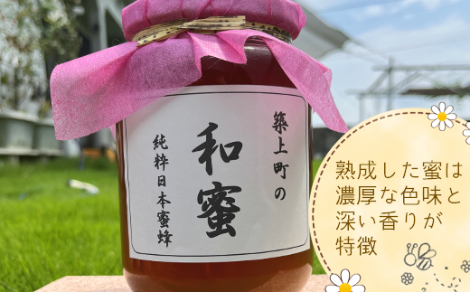 【福岡県築上町産】上村さん家の はちみつ 「 築上町の 和蜜 」300g《築上町》【上村　忍】[ABBX001]