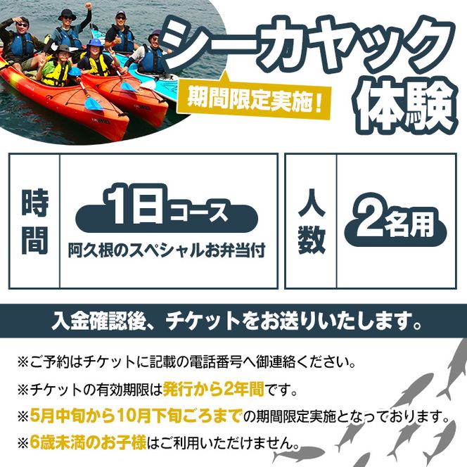 期間限定実施 シーカヤック体験チケット(1日/2名) 阿久根 シーカヤック アウトドア アクティビティ 自然 体験 ツアー チケット マリンスポーツ【パズル】a-100-4