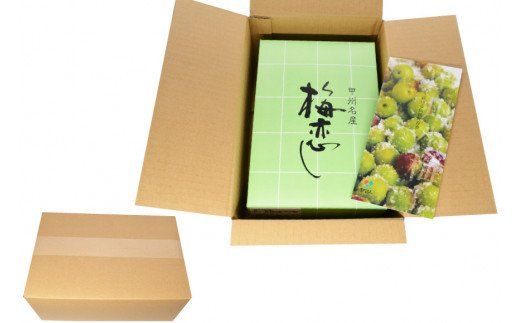 【やばいだろ】粋な小梅 350g [山梨農産食品 山梨県 韮崎市 20742087] 梅干し 梅干 うめぼし 梅 小粒 小梅 カリカリ梅 国産 個包装