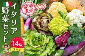 イタリア野菜セットラージ 14品 【有機野菜 おまかせ野菜セット イタリア野菜 西洋野菜】(H078133)