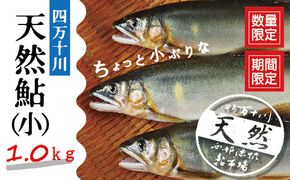 R5-775．四万十川の天然鮎(小)500ｇ(約6～9匹)