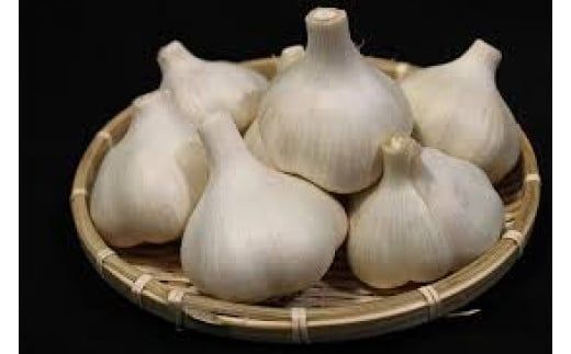 E044 山口県産 黒にんにく100g×2パック