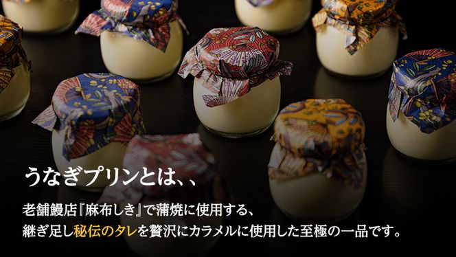 【 牛久市 堪能コース 】 うなぎ プリン付 9000円分 焼肉割烹 ふみや 食事券 × 1枚 体験 利用券 料理 デザート スイーツ 食前酒 食中酒 茨城県 牛久シャトー ワイン 葡萄 デラウェア [DJ020us]