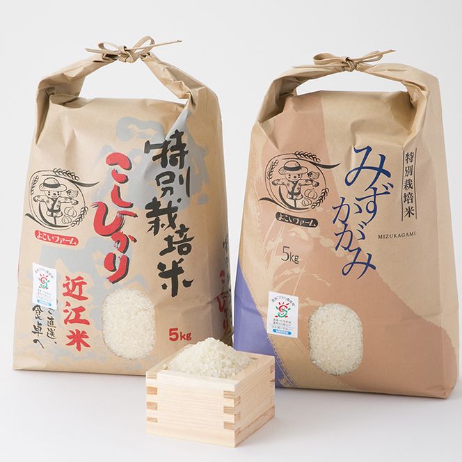 【C-539】よこいファーム 特別栽培米食べ比べセットＡ ［高島屋選定品］