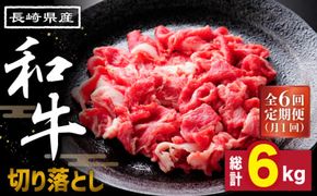 【6回定期便】長崎県産 和牛 切り落とし1kg / 南島原市 / 高田牧場 [SDB006]