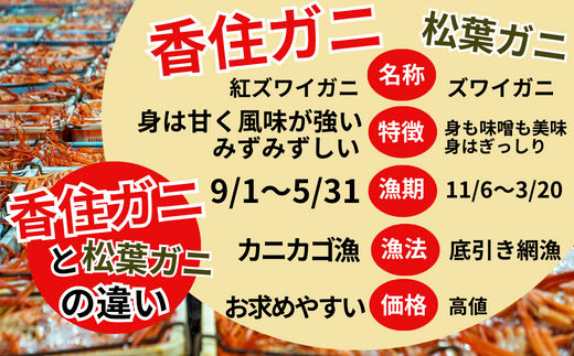 【香住ガニ 大 タグ付き ボイル 茹で 姿 約700g×2杯 冷蔵】 R7,1月以降順次発送  大人気 ふるさと納税 カニの旨味と甘味が抜群 鮮度抜群 香美町 香住 兵庫県  国産  かに　11-04