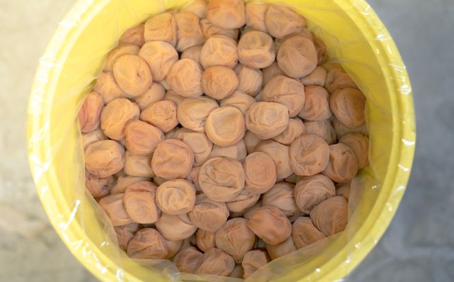 百福梅　個包装十二福　木箱入り有田みかん蜂蜜梅12個入（300ｇ）E003