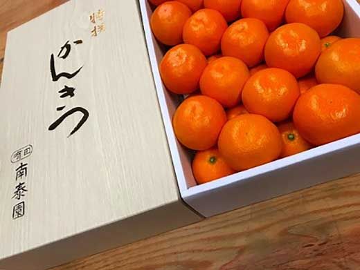 年内発送 完熟早生 有田みかん 化粧箱 特秀 M サイズ 40玉入 和歌山 南泰園 みかん BS634