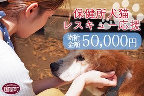 ＜保健所犬猫レスキュー【返礼品なしのご寄附】＞寄付金額50,000円※お礼状をお送りいたします。【a0624_in】