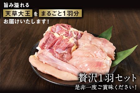 天草大王 贅沢1羽セット 約1.5kg【幻の地鶏】もも・むね・ささみ 各2枚《60日以内に出荷予定(土日祝除く)》---dg_faso1wa_60d_r7_17500_1500g---