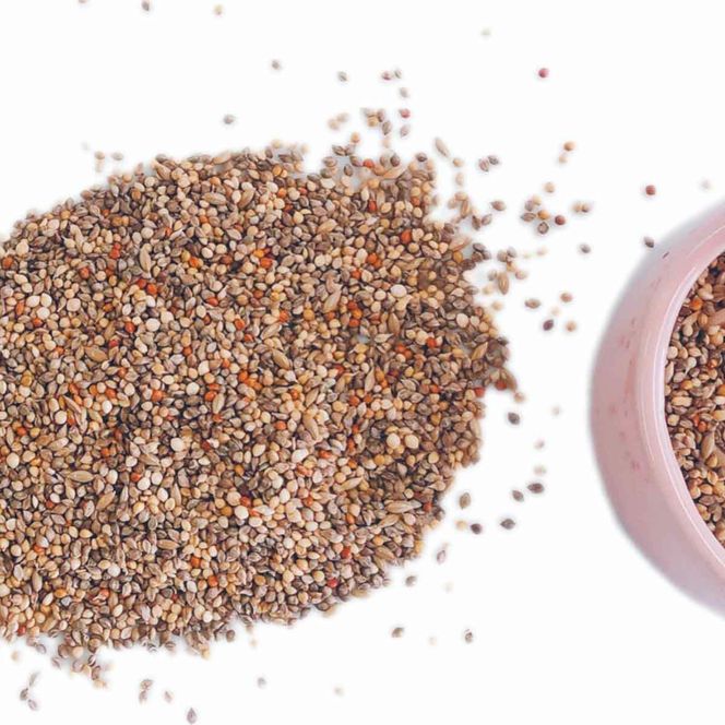 【3ヶ月定期便】fuu 文鳥・セキセイインコのごはん（800g）［145S45-T］【3ヶ月定期便】fuu 文鳥・セキセイインコのごはん インコ 小鳥 エサ ペット用品 複数種 シード オリジナル配合