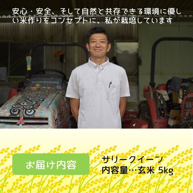 お米 サリークイーン 玄米《 お米 玄米 5キロ 安心 安全 バスマティ 日本晴 米 おこめ 国産 送料無料 ピラフ パエリア》【2401B08405】