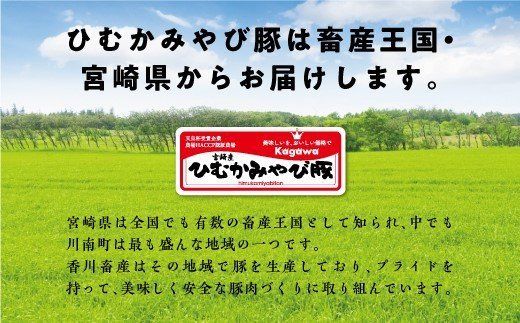 香川畜産の豚肉しゃぶしゃぶセット　1,200g 【 肉 豚 豚肉 国産豚肉 九州産豚肉 宮崎県産豚肉 ロース バラ モモ 豚肉セット 】 [H6201]