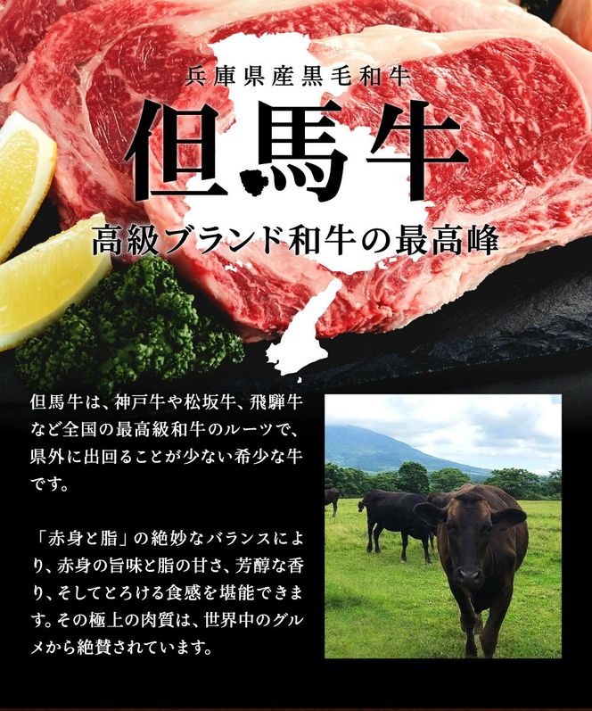 010AA09N.但馬牛経産牛ハンバーグ（150g×5個）但馬牛 牛肉 100%
