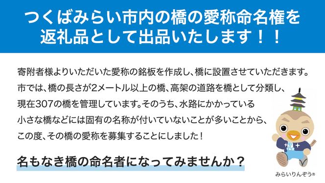 つくばみらい市 橋の愛称 命名権 （橋長10m～30m） 命名権 命名 橋 名づけ 権利 広告 ネーミングライツ [EO02-NT]