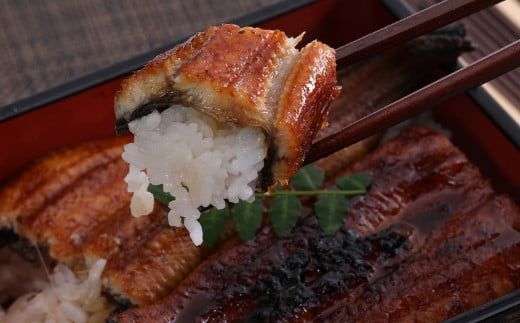 徳さんオススメ定期便【４ヶ月連続お届け】　yj041