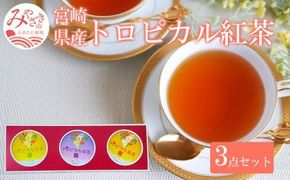 トロピカル紅茶 3点 セット_M054-005