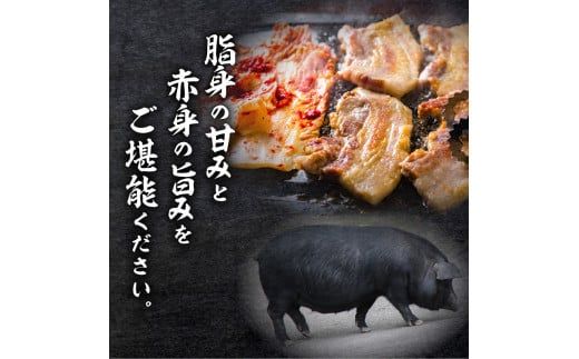 【1.6ｋｇ超】黒豚焼肉三昧　K086-026