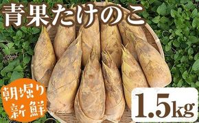 【平日着】＜先行予約受付中！2026年2月下旬以降順次発送予定＞朝堀り青果たけのこ(約1.5kg) 国産 新鮮 タケノコ 青果 竹の子 筍 野菜 春 旬 期間限定【上野食品】akn008-04-A