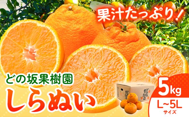 不知火 ( デコポン と同品種 ) しらぬい 約 5kg (L～5Lサイズ) どの坂果樹園《2027年2月中旬-5月上旬頃出荷》 和歌山県 日高川町 しらぬい 不知火 デコポン でこぽん 旬 果物 フルーツ 柑橘 産地直送 送料無料---wshg_245_g25_23_11000_5kg---｜しらぬい 不知火 デコポン でこぽん 旬 果物 フルーツ 柑橘 産地直送 デコポン デコポン デコポン デコポン デコポン 不知火 不知火 不知火 