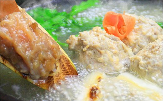 博多水炊き（ありた鶏ぶつ切り・つみれ）セット2〜3人前《築上町》【株式会社ベネフィス】[ABDF011]