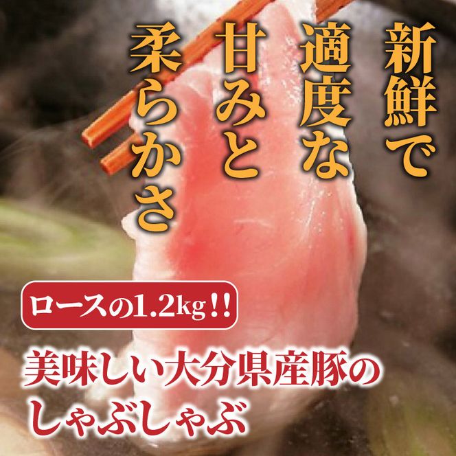 美味しい大分県産豚のしゃぶしゃぶ/ロース1.2kg_0043N