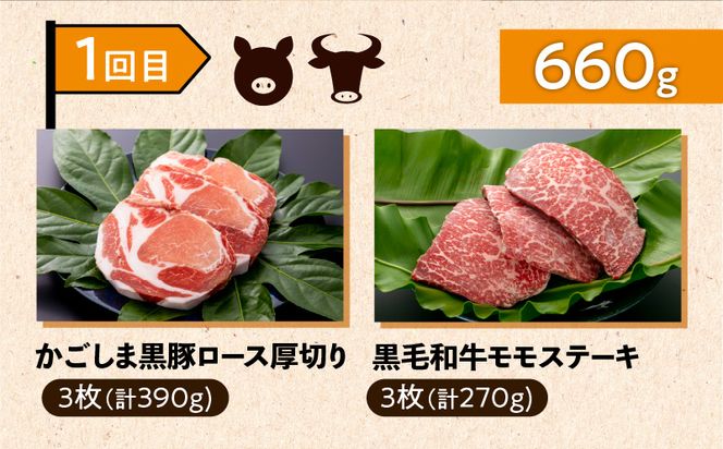 【岩元精肉店】鹿児島県産精肉 厳選4か月お届けコース　K045-T04