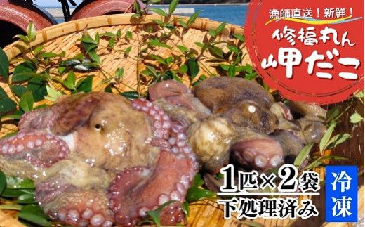 たこ 修福丸ん岬だこ 丸ごと 2匹 下処理済み 約1.2kg たこ タコ D3-11